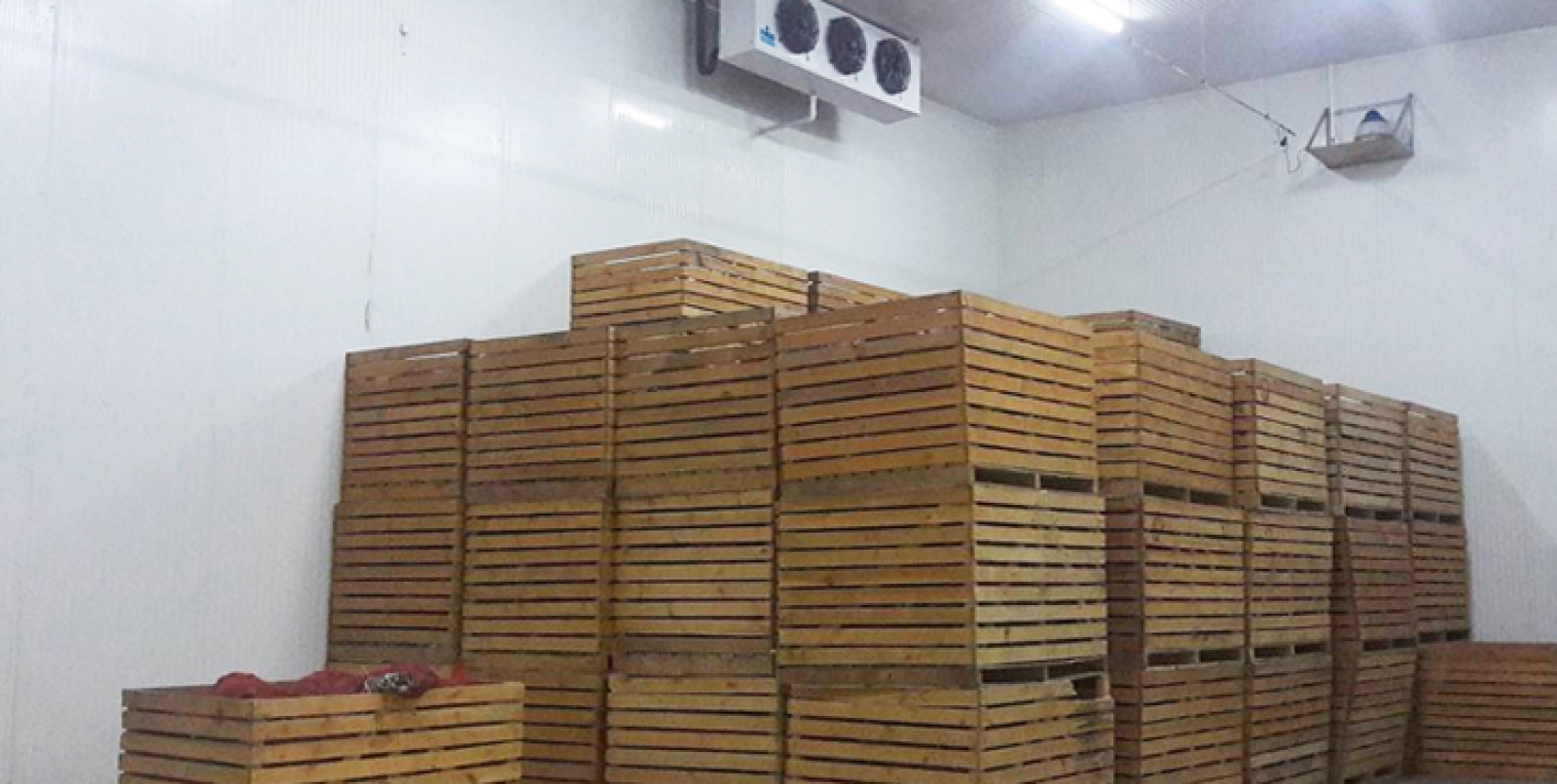 Балькоорна