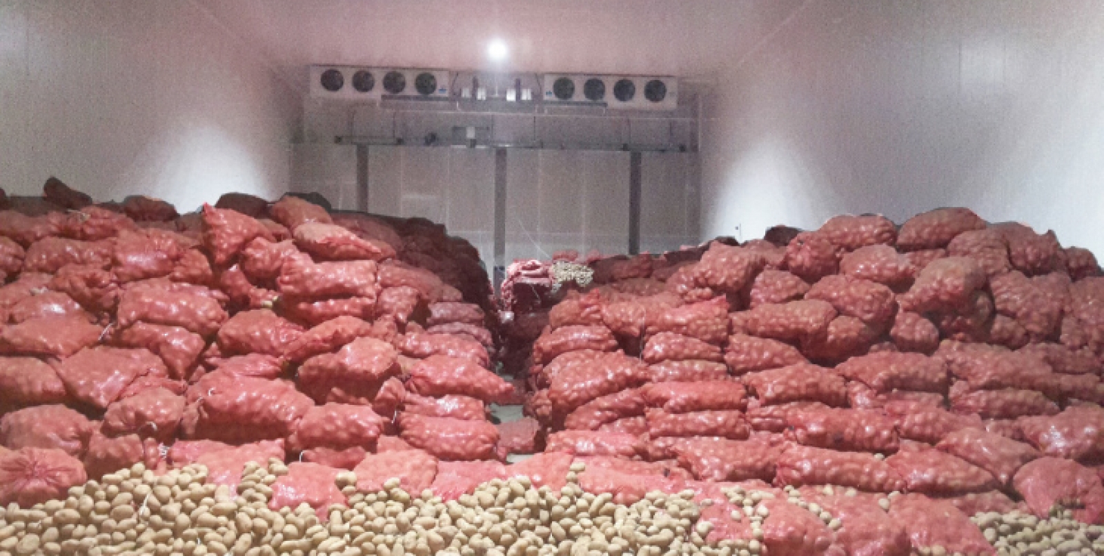 Köleoğlu Agriculture